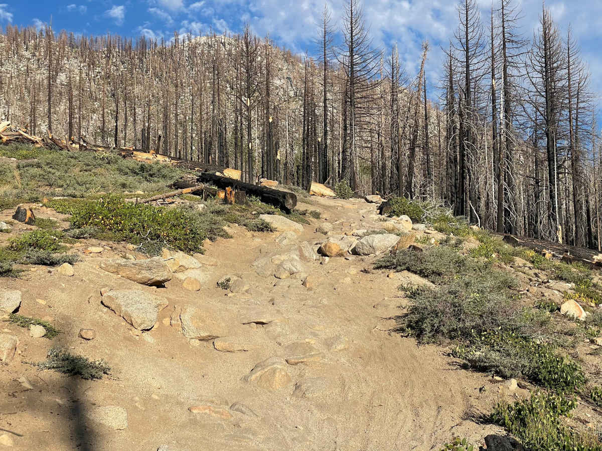 Upper Corral photo 3
