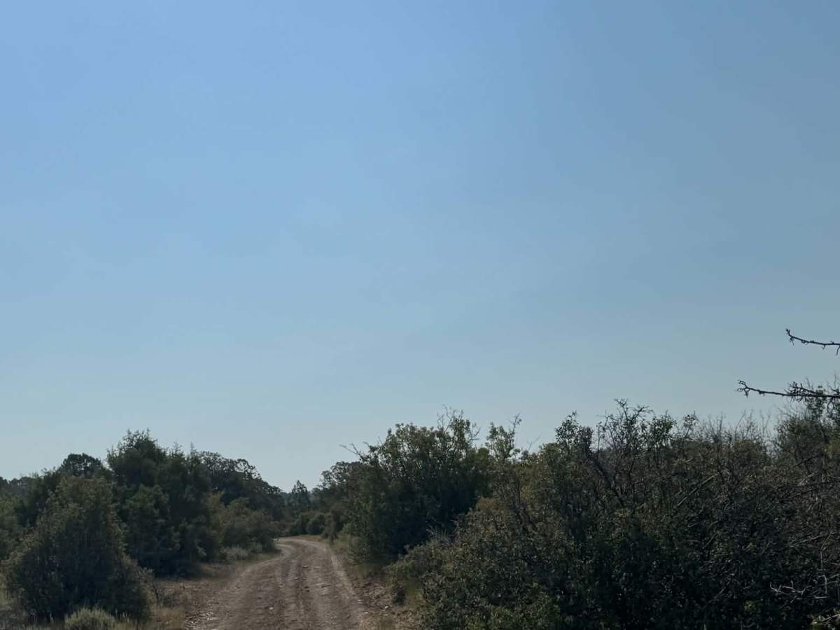Rifle Loop photo 5