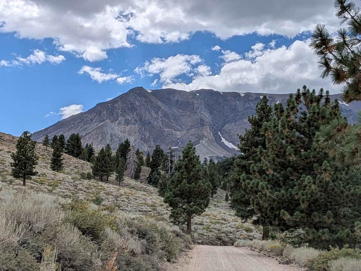 Parker Lake Road - NF1S25 photo 3