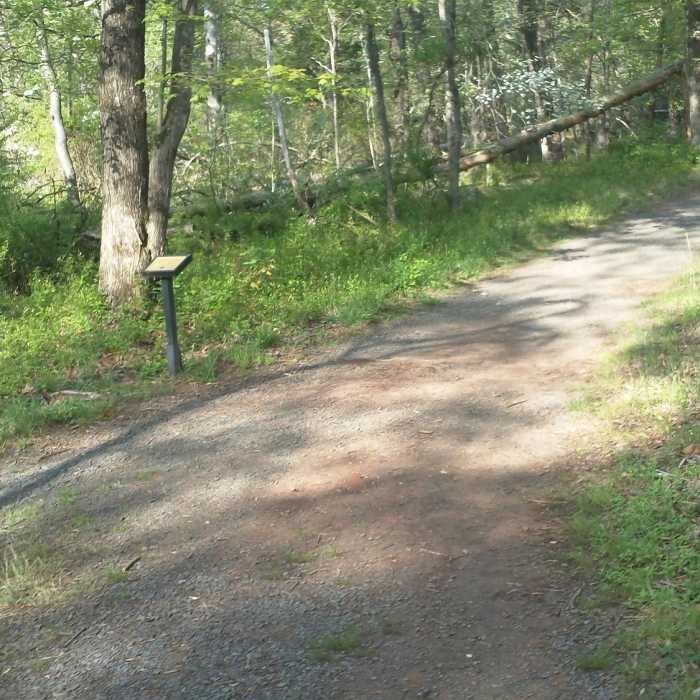 Near Matthews Hill Loop