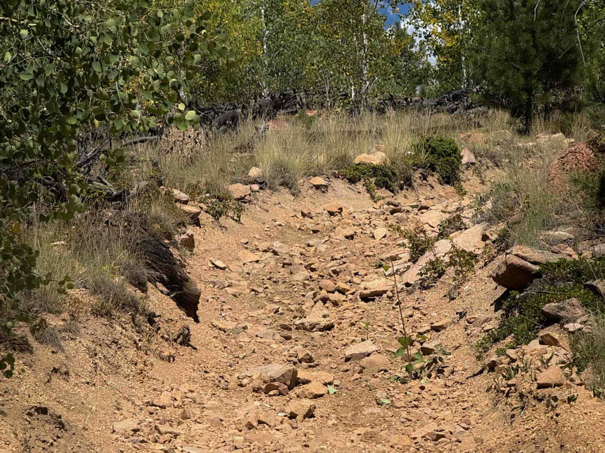 Trail 737  photo 6