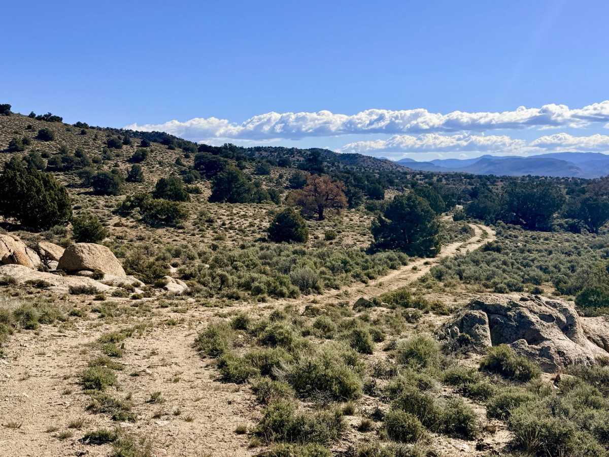 Stewart Spring Road trail photo
