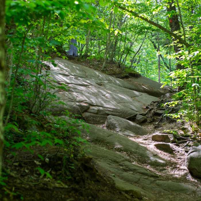 Near Bald Mountain + Rondaxe Fire Tower Near Bald Mountain + Rondaxe Fire Tower