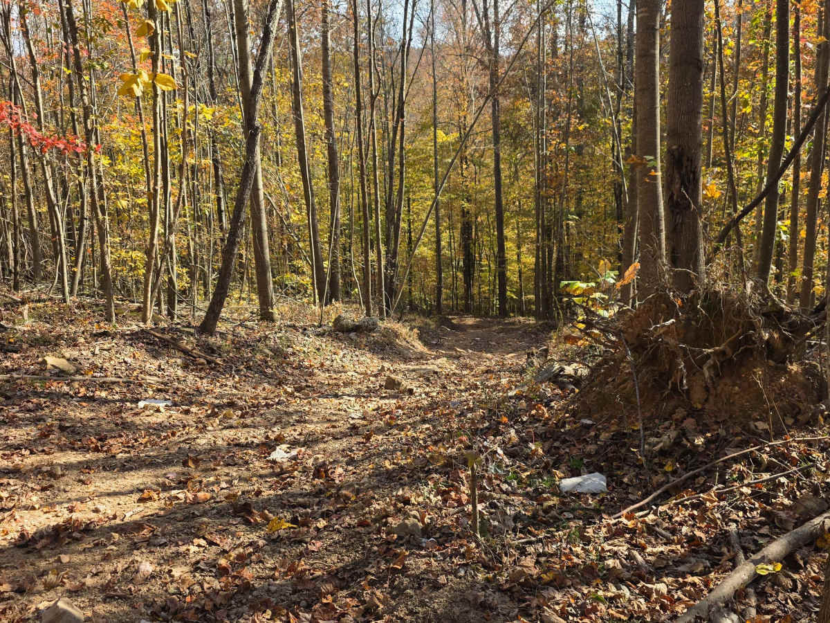 Hot Wheels trail photo