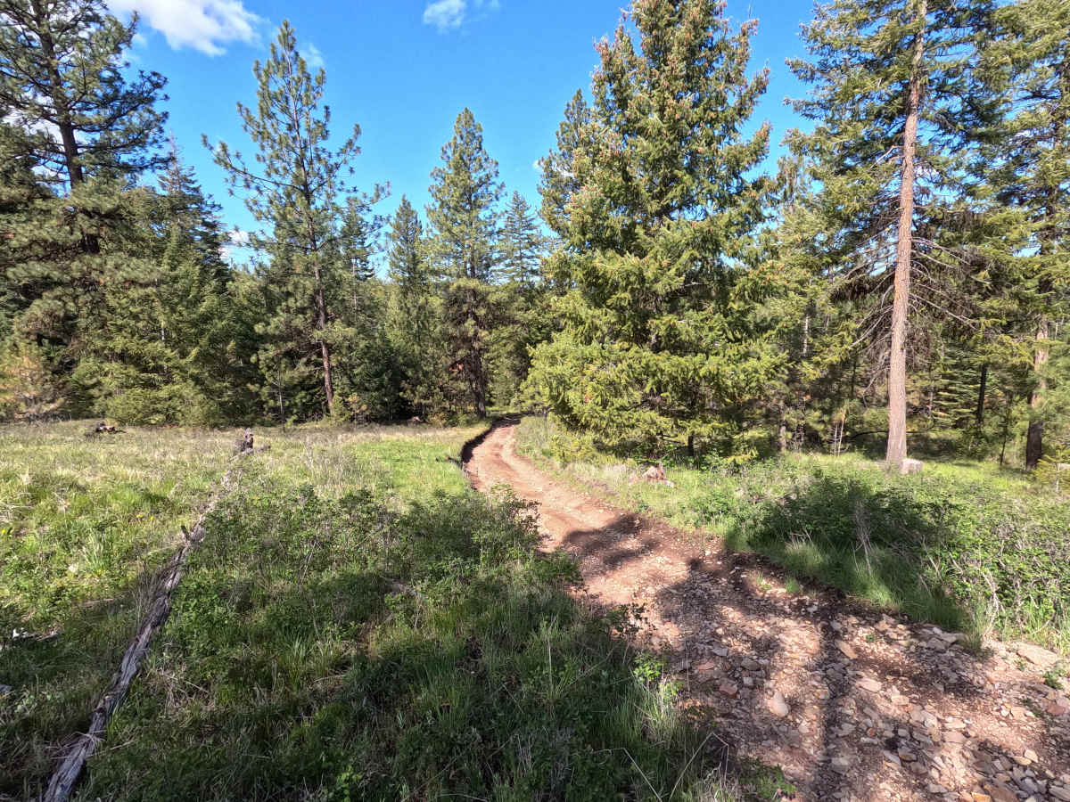 Meat Pole Trail - 54 photo 3