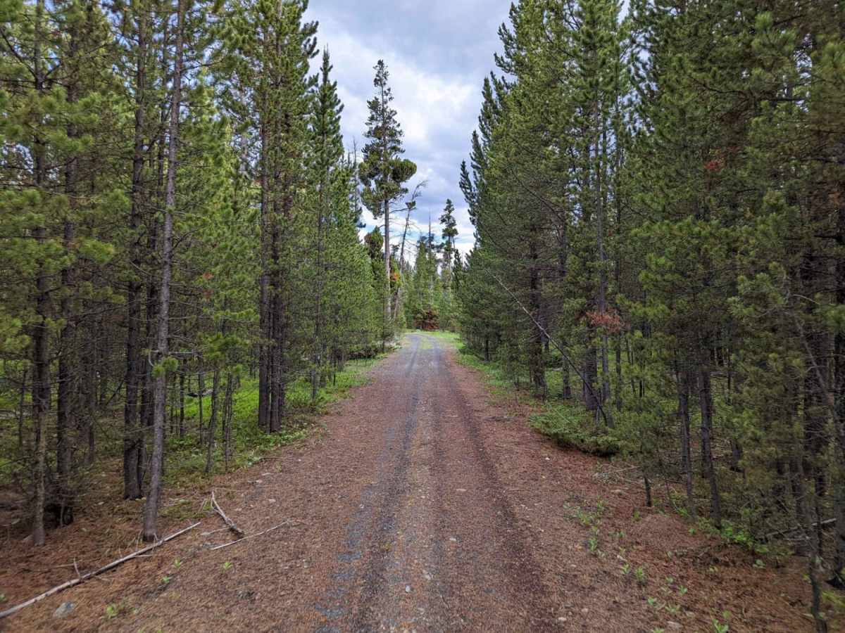 Lower Russian Youth Loop photo 3