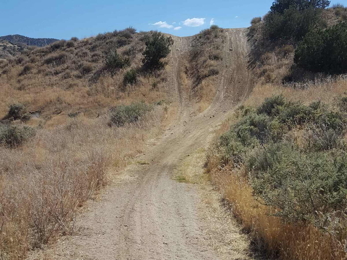 Trail 6 photo 6