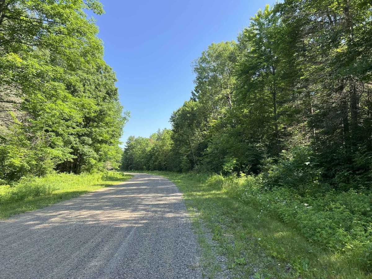 Sokagon Chippewa ATV/UTV Trail - Indian Route 10 photo 2