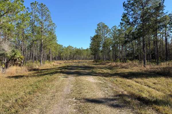 Tillman Lake Road