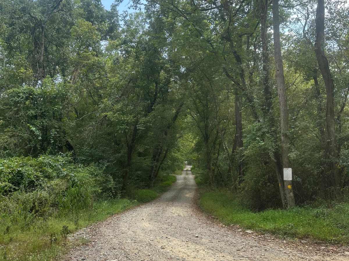 Kasecamp Loop photo 3