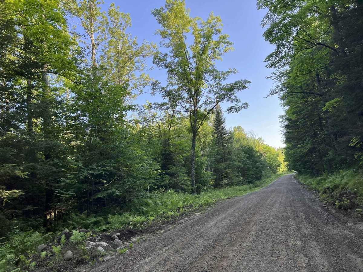 Johnson Road photo 5