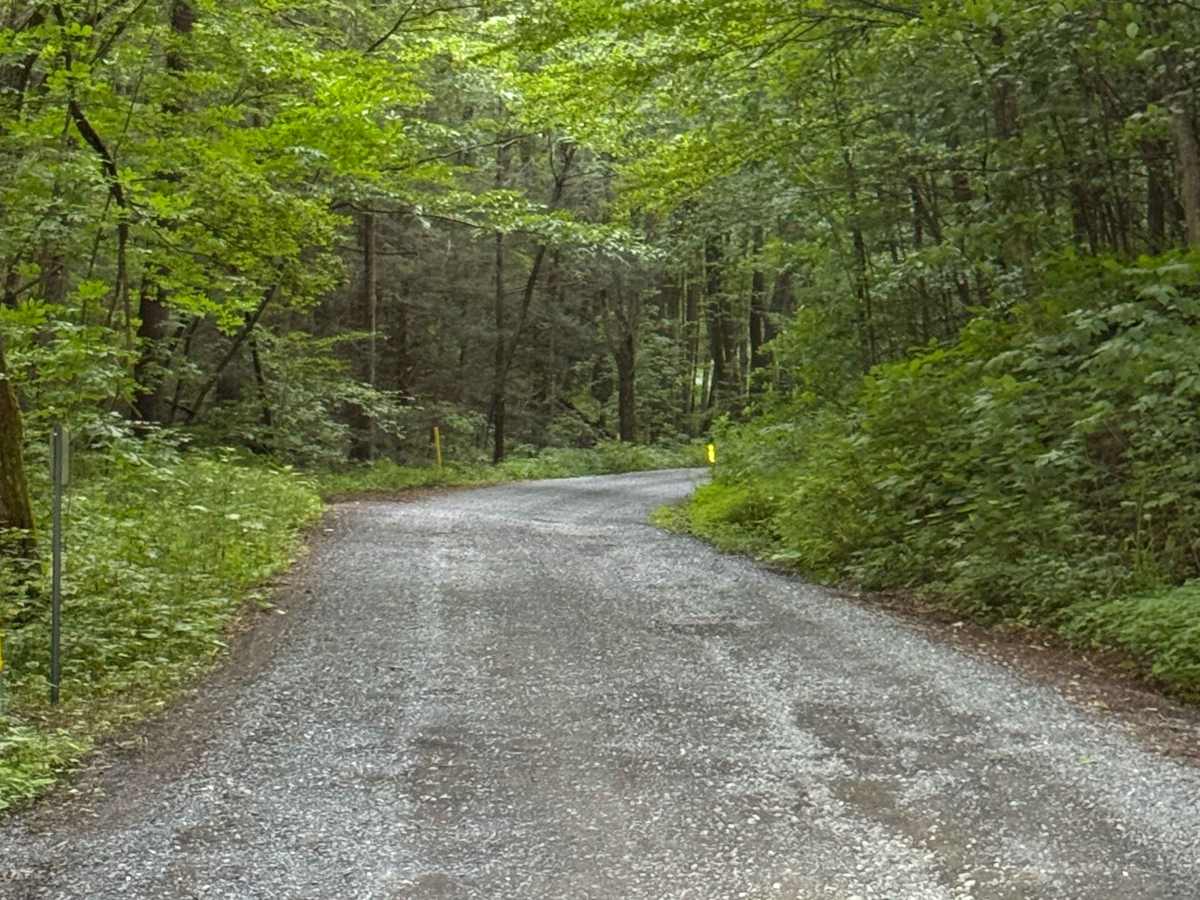 Dam Run Road photo 3