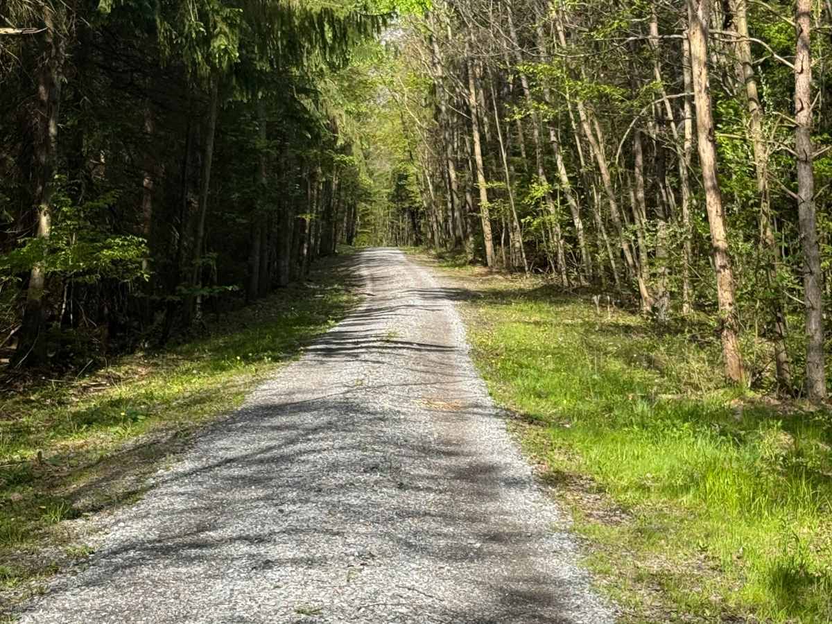 Bark Camp Road photo 4