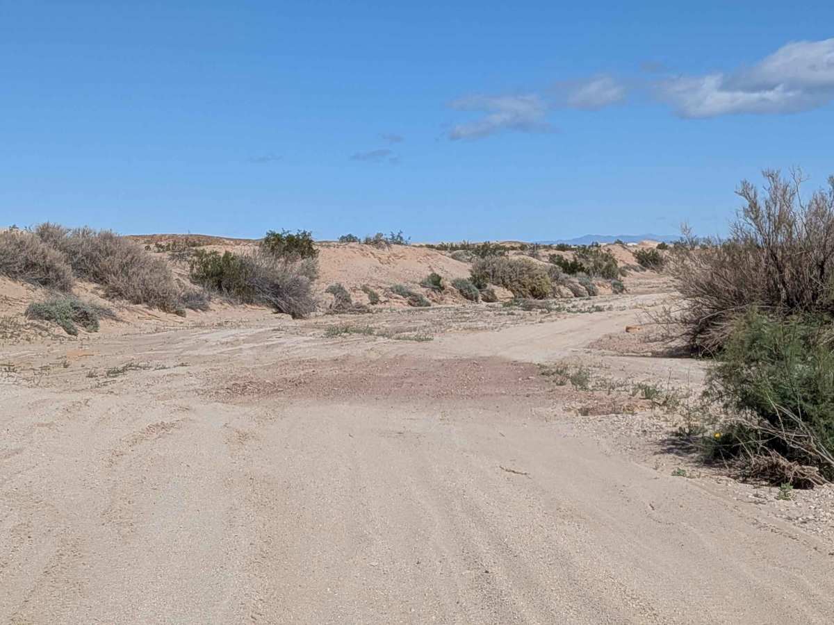 BLM 329 photo 4