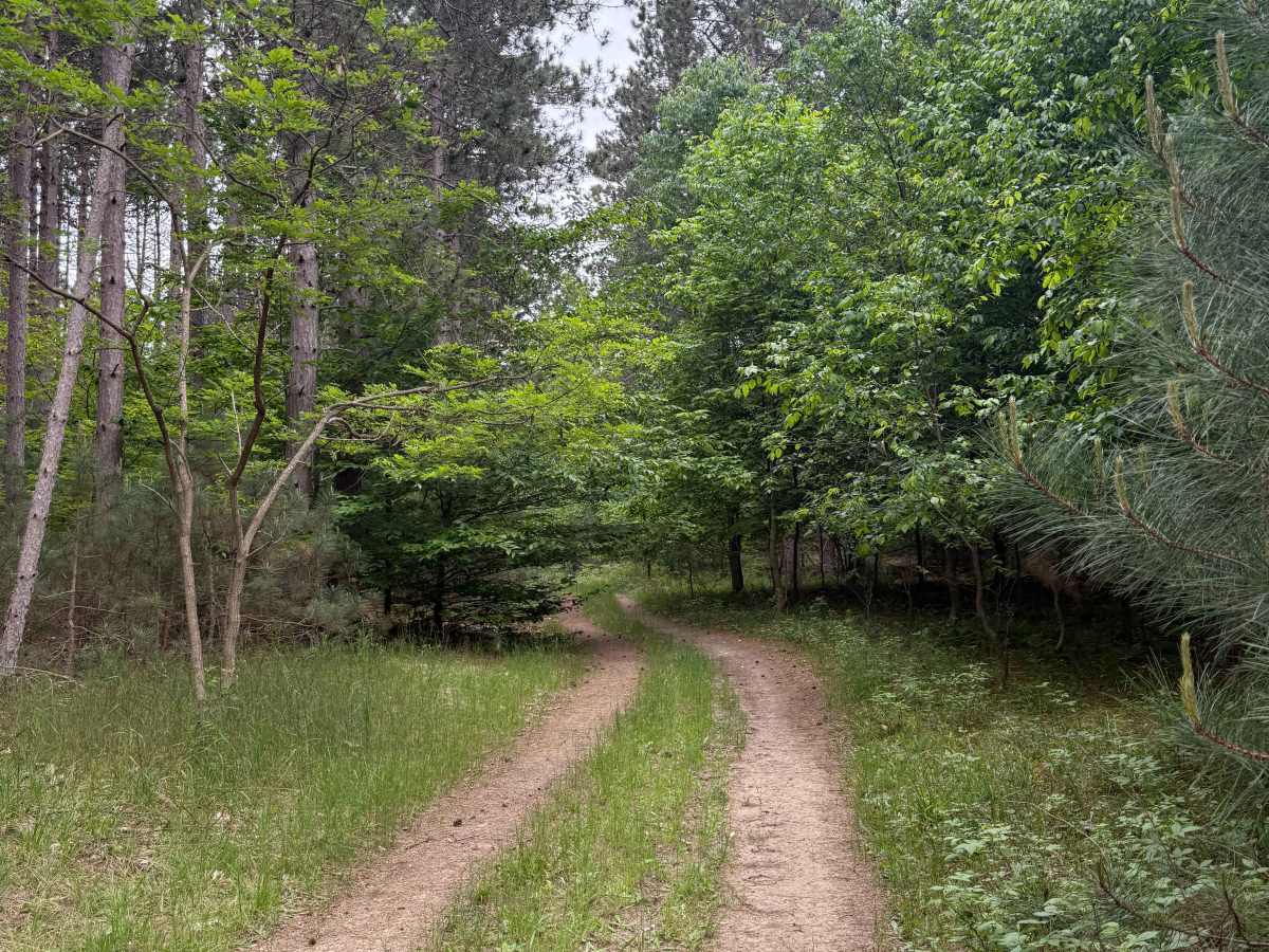 Broomhead Trail South photo 5