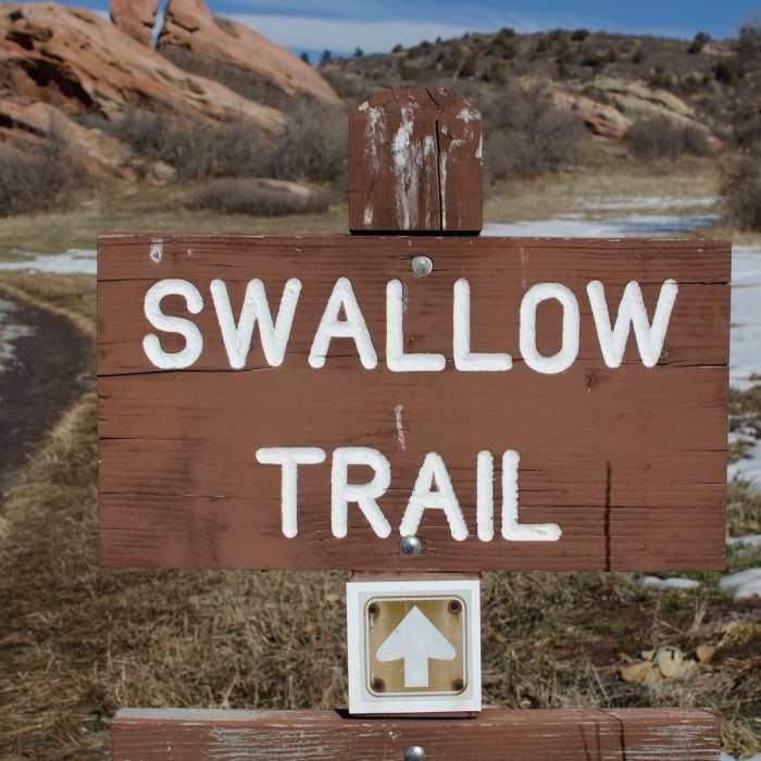 Swallow Trail Near Coyote Song Trail
