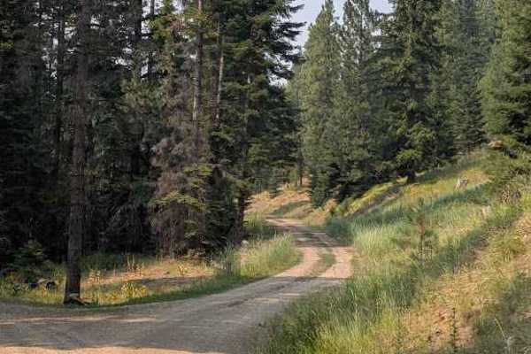 Pearson Creek Road