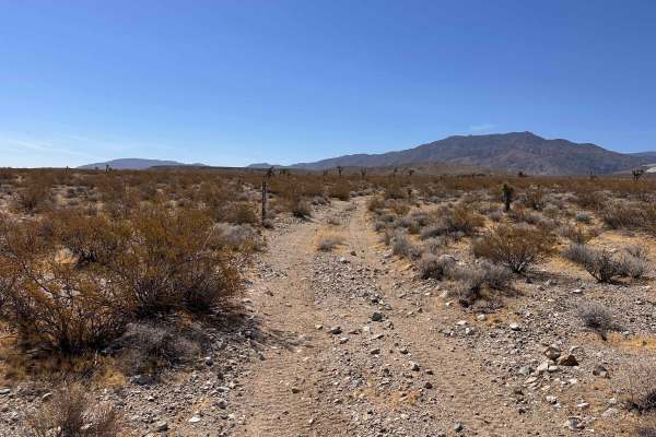 Coyote Gap