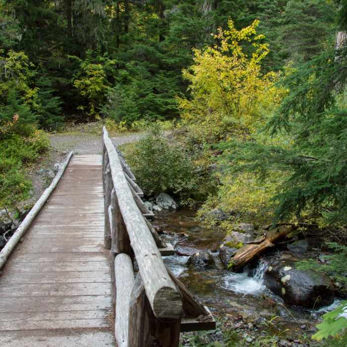 Near Sperry Trailhead to Sperry Chalet