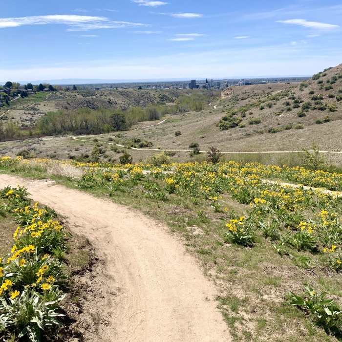 Near Ridge Crest - Central Ridge Loop