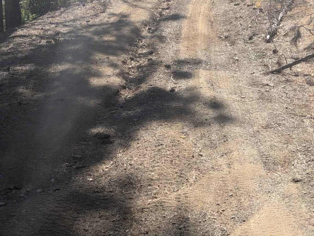 Reagan Meadow Road - FS 28N68 photo 3