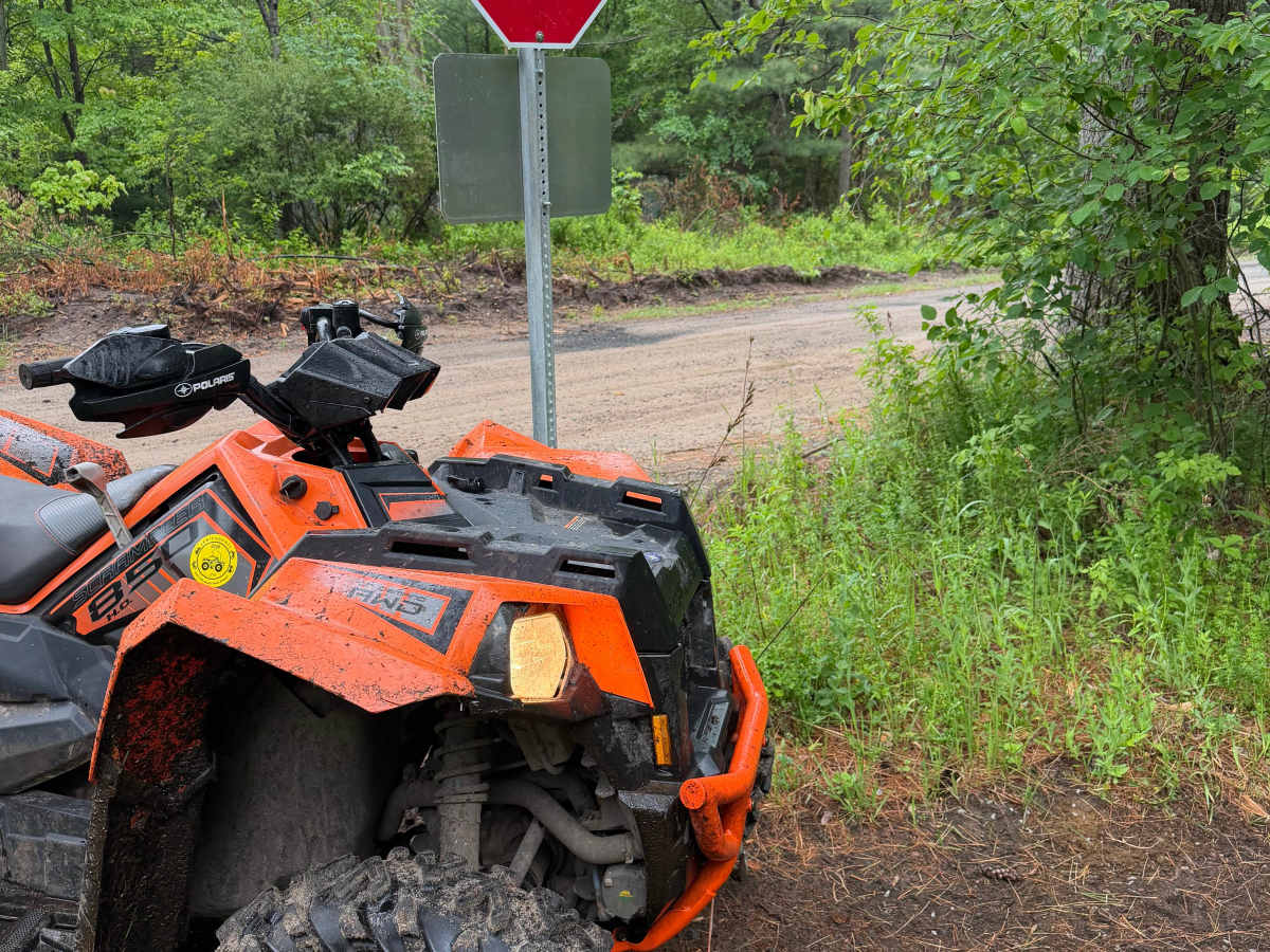 Wildcat Road Green Trail Loop trail photo