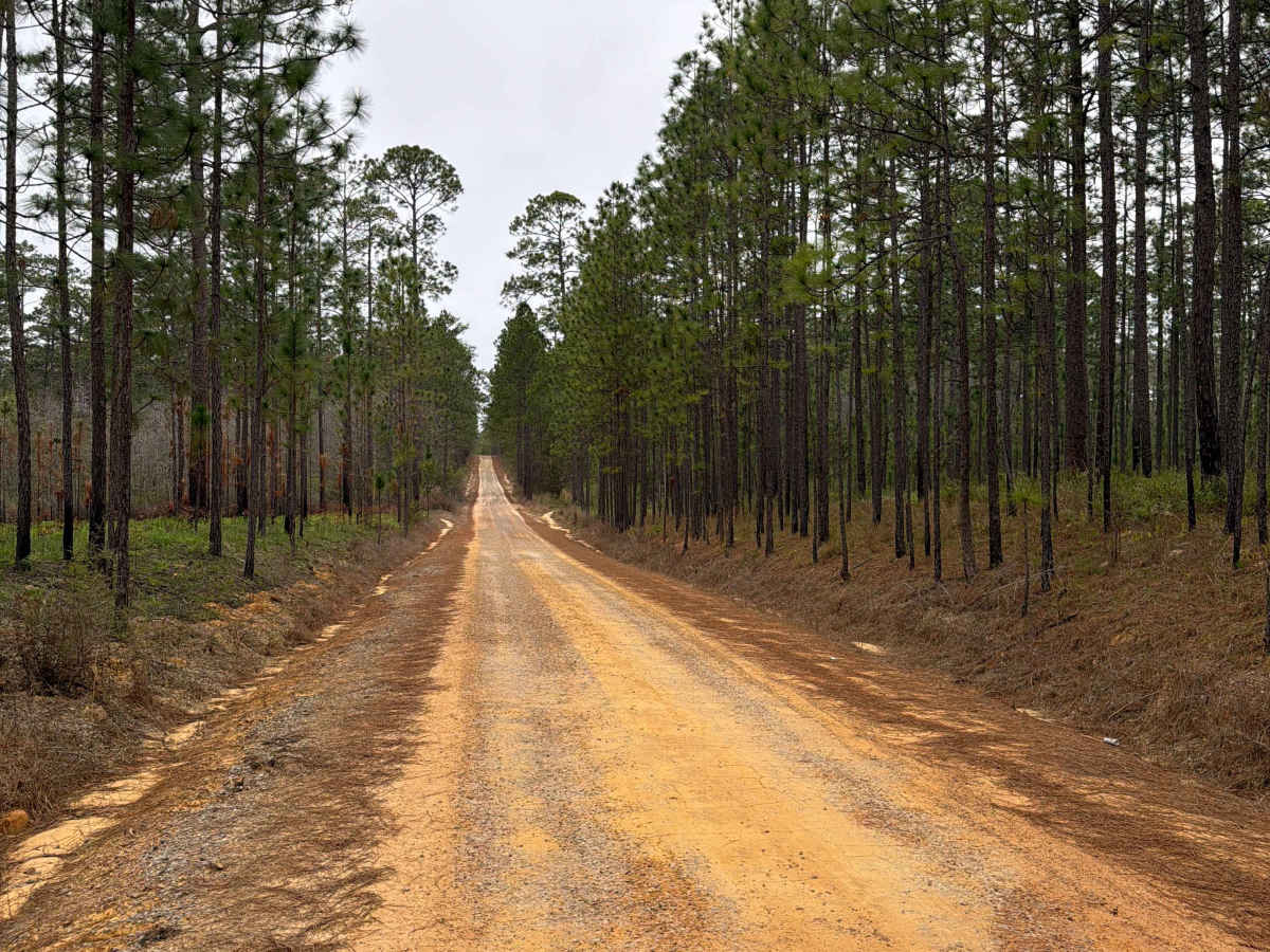 Coldwater Horse Trail photo 3