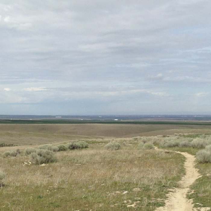Near C Trail