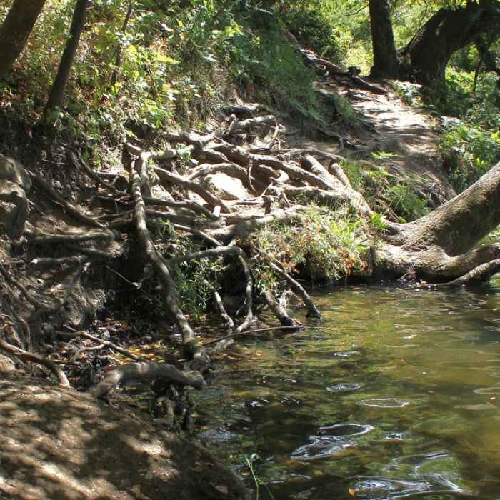 Near Lake Anza Trail