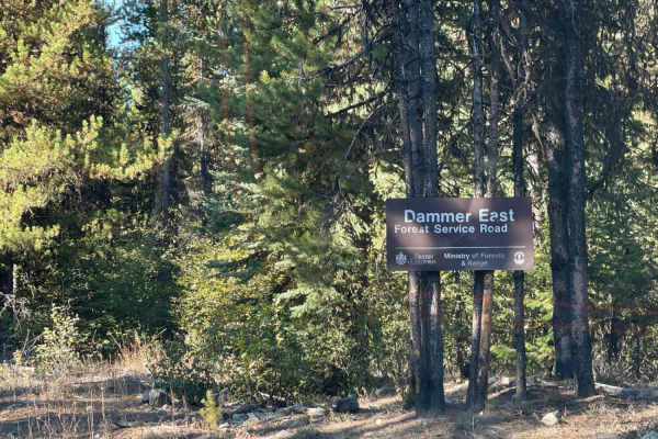 Damer Lake East