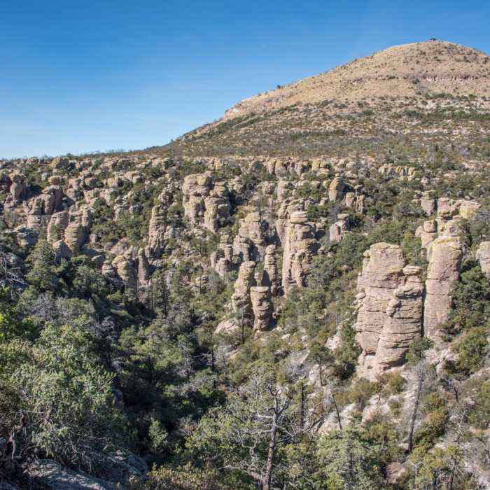 Near Echo Canyon Loop Trail