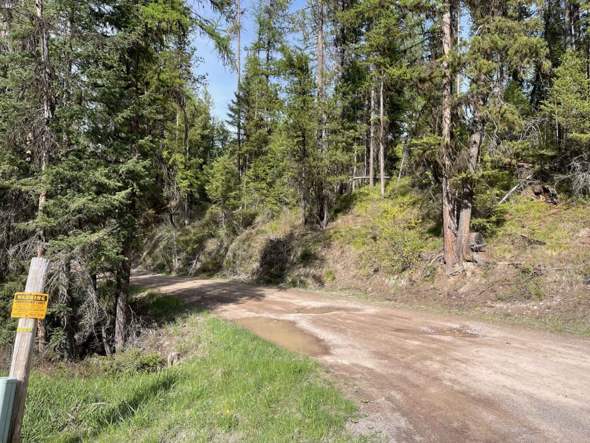 Pierce Lake photo 4