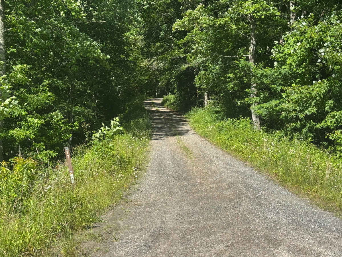 Barnett Creek - FS 6236 trail photo