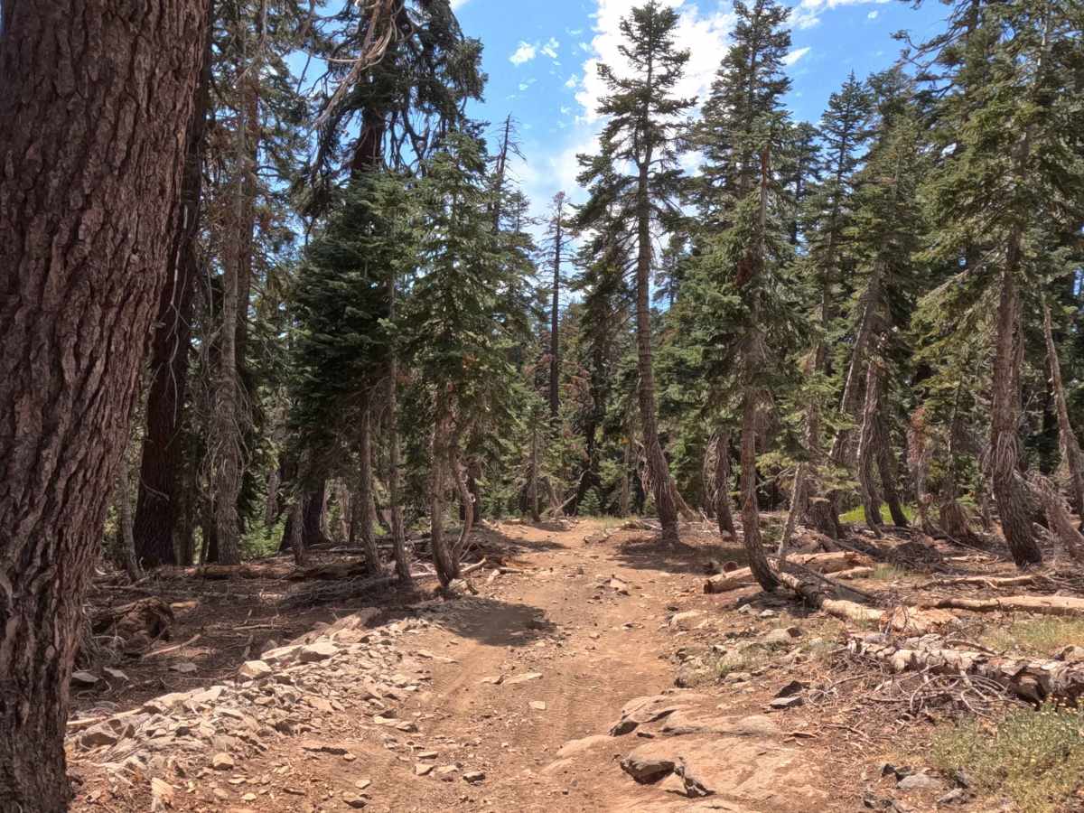 Star Lakes - FS 22E203 photo 2