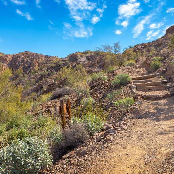 Near Lightning Bolt Near Lightning Bolt