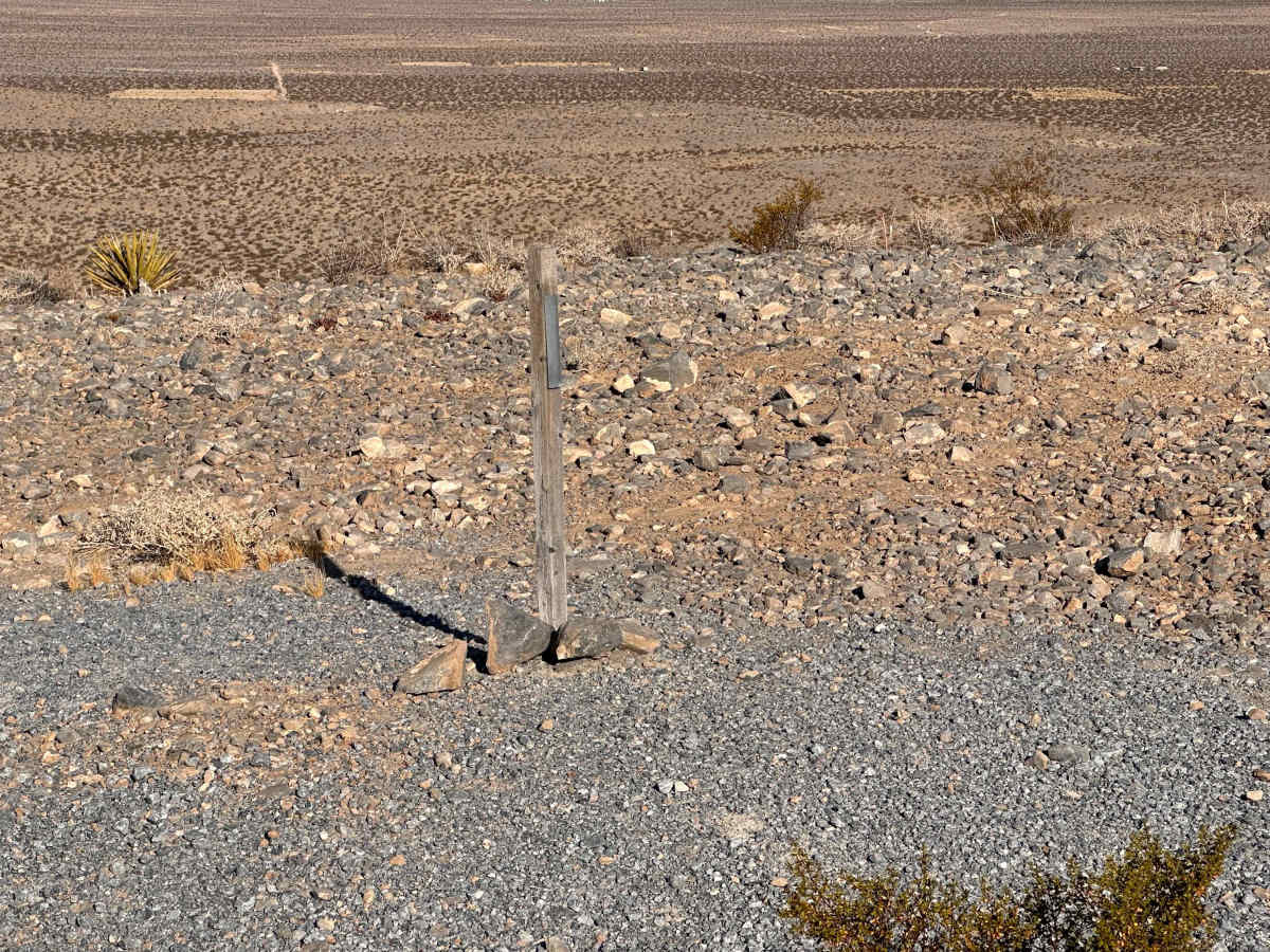 Desert Crown photo 4