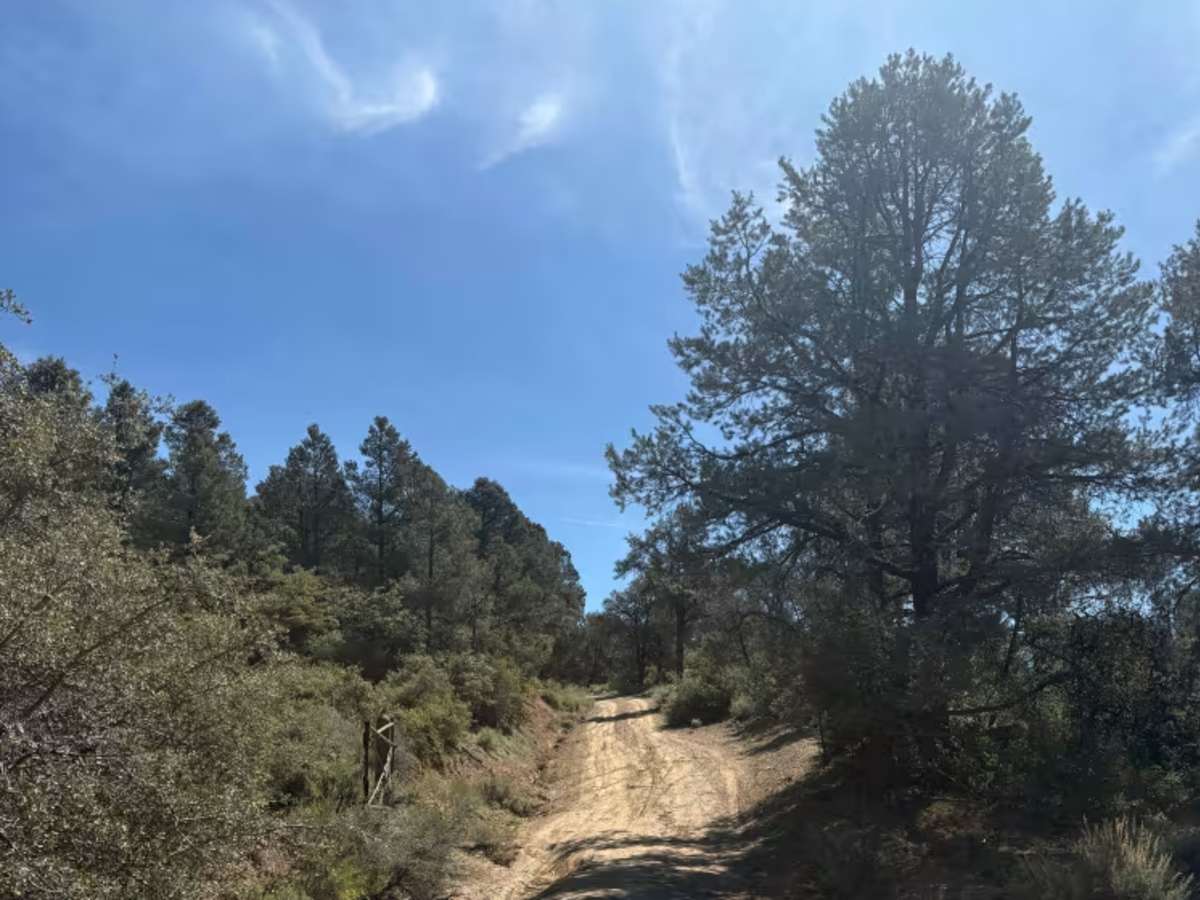 San Emigdio - FS 9N34 trail photo