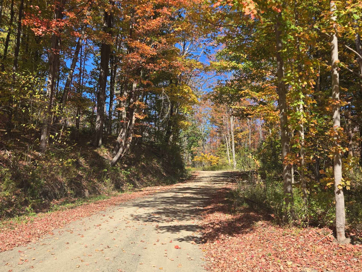 Vogt Road photo 5
