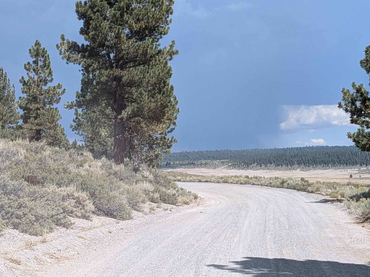 Pumice Mine Road - FS 1S40 trail photo