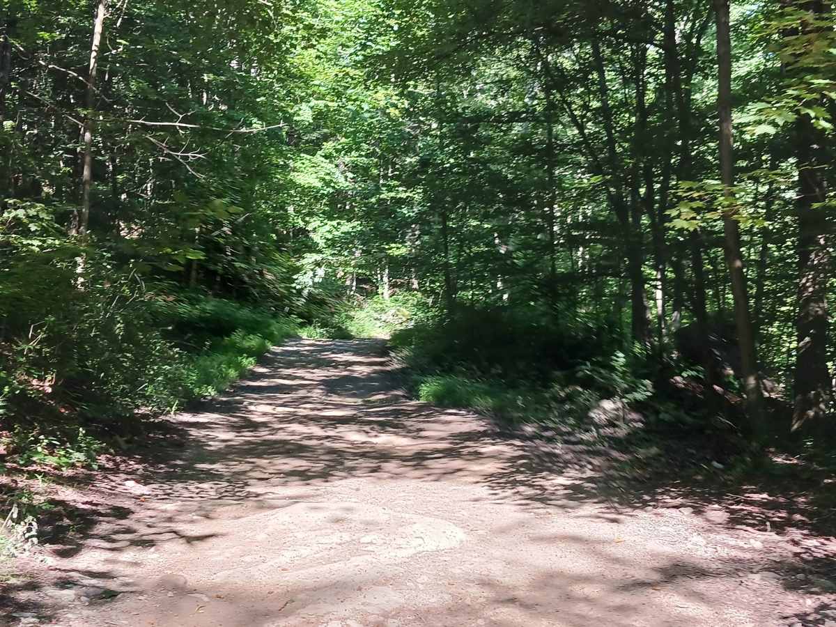 Trail 14 - Rock Run Recreation Area trail photo