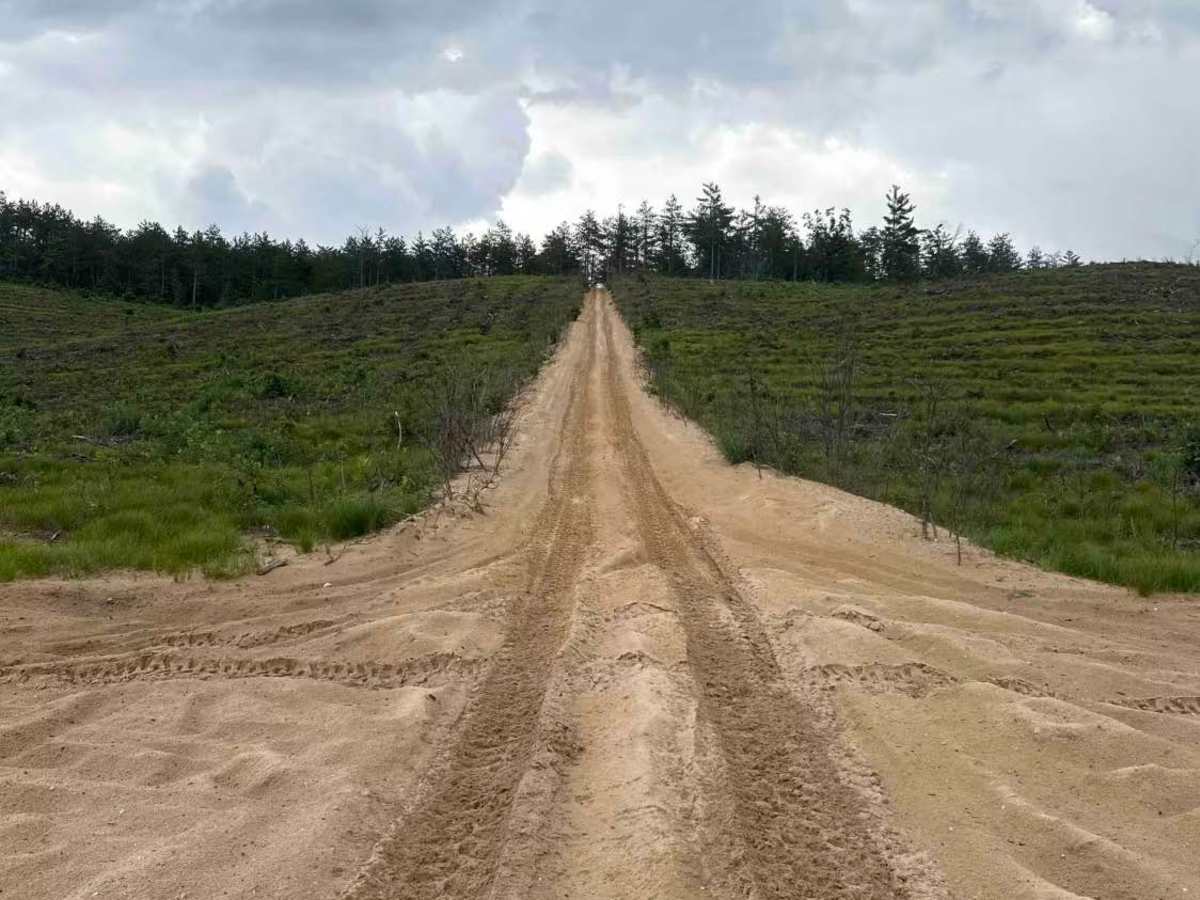 Clear Lake State Park trail head photo 6