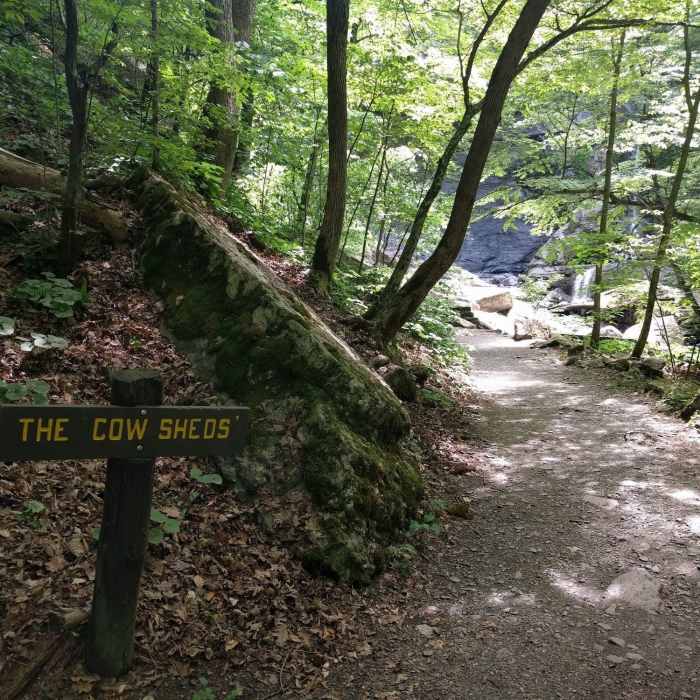 Near Gorge Trail