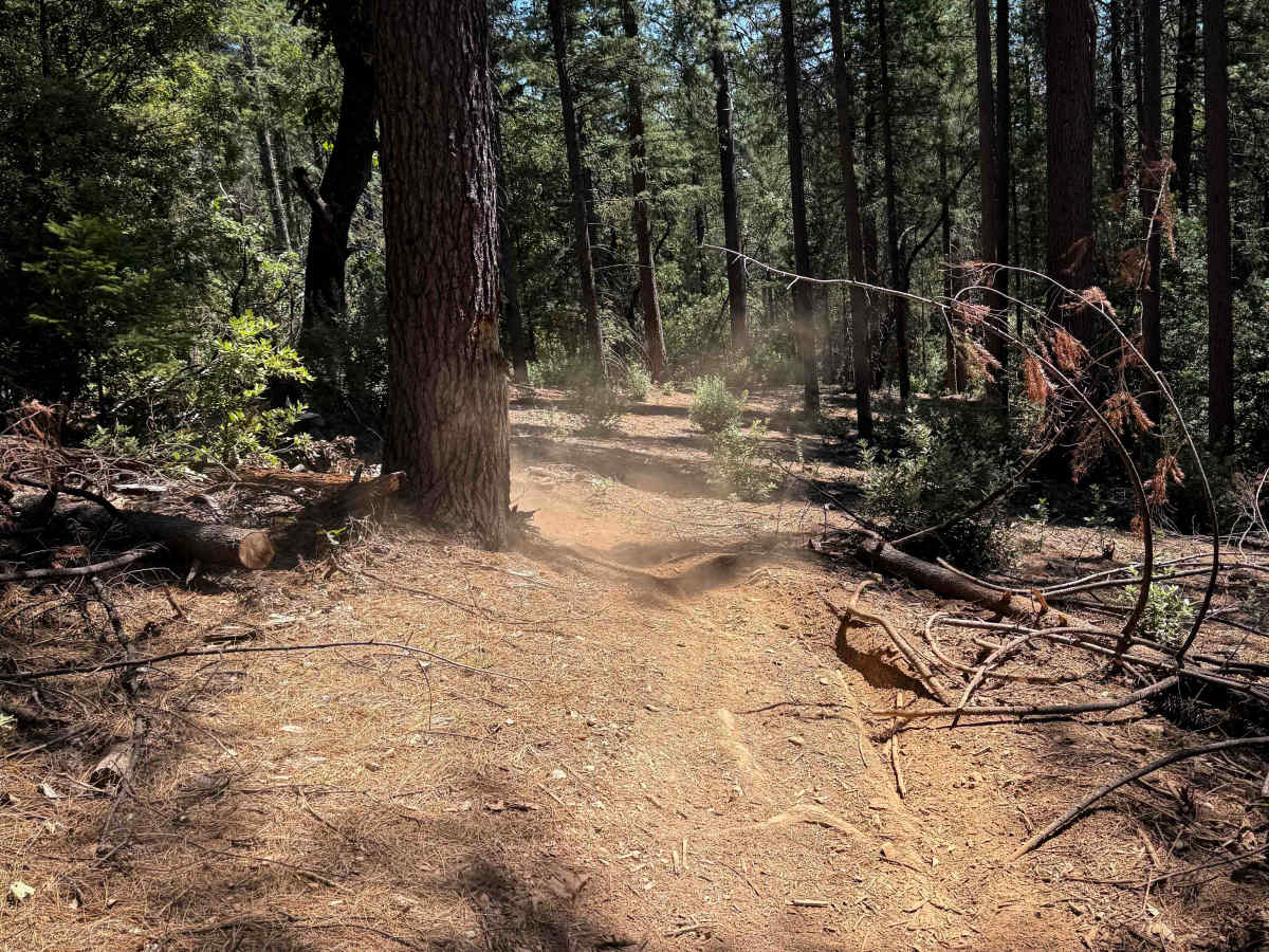 Trail 5-2 (11E29)  photo 4