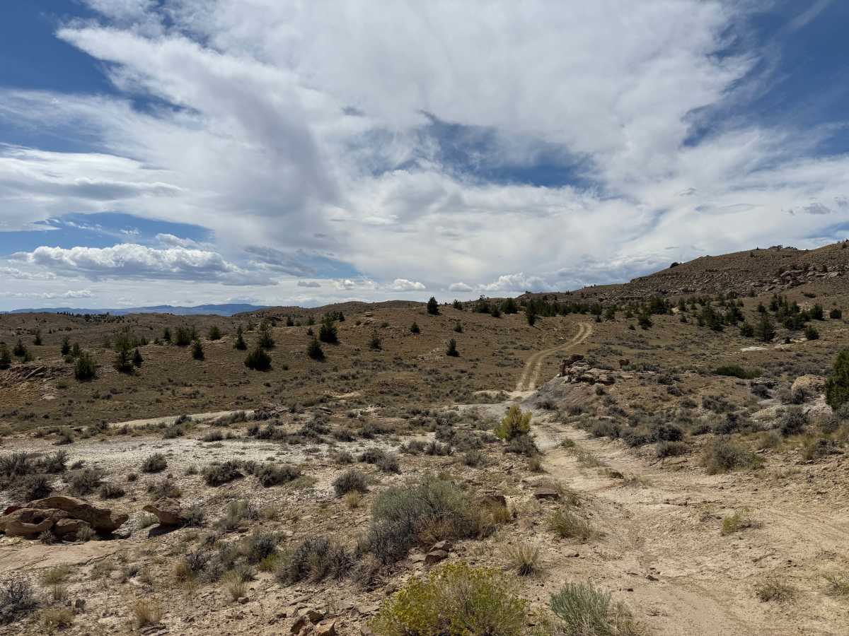 Charlie Trail photo 6