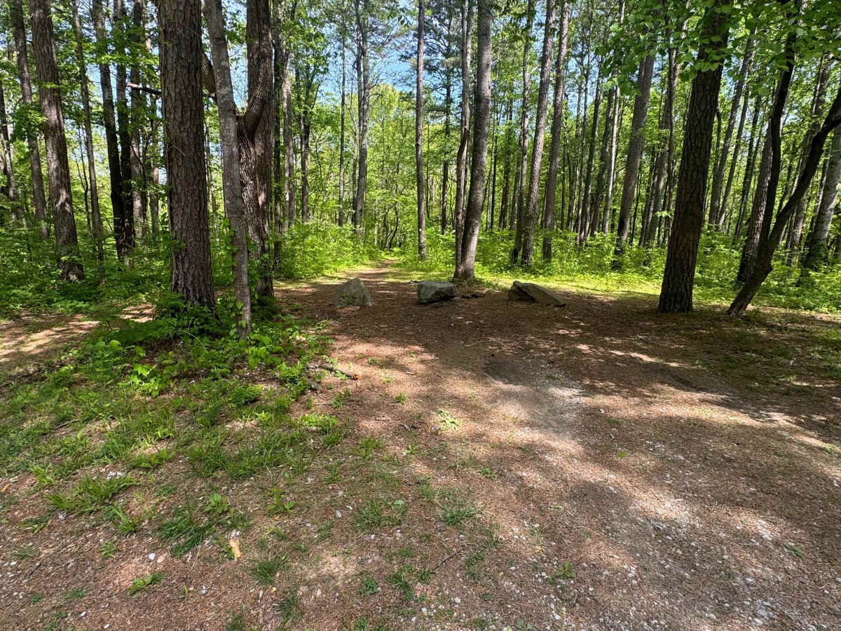 One Horse Gap Lake Trail photo 6