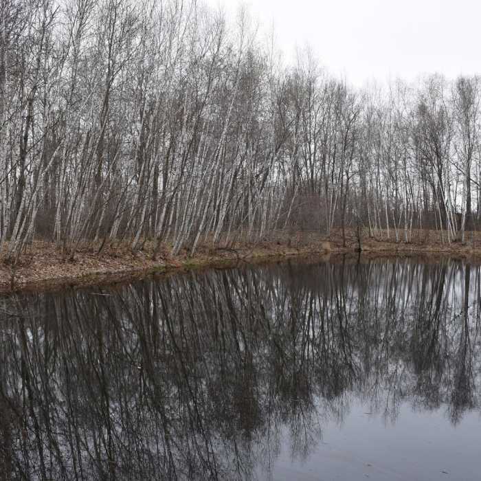 Near Carlos Avery Pool 15 Loop Near Carlos Avery Pool 15 Loop