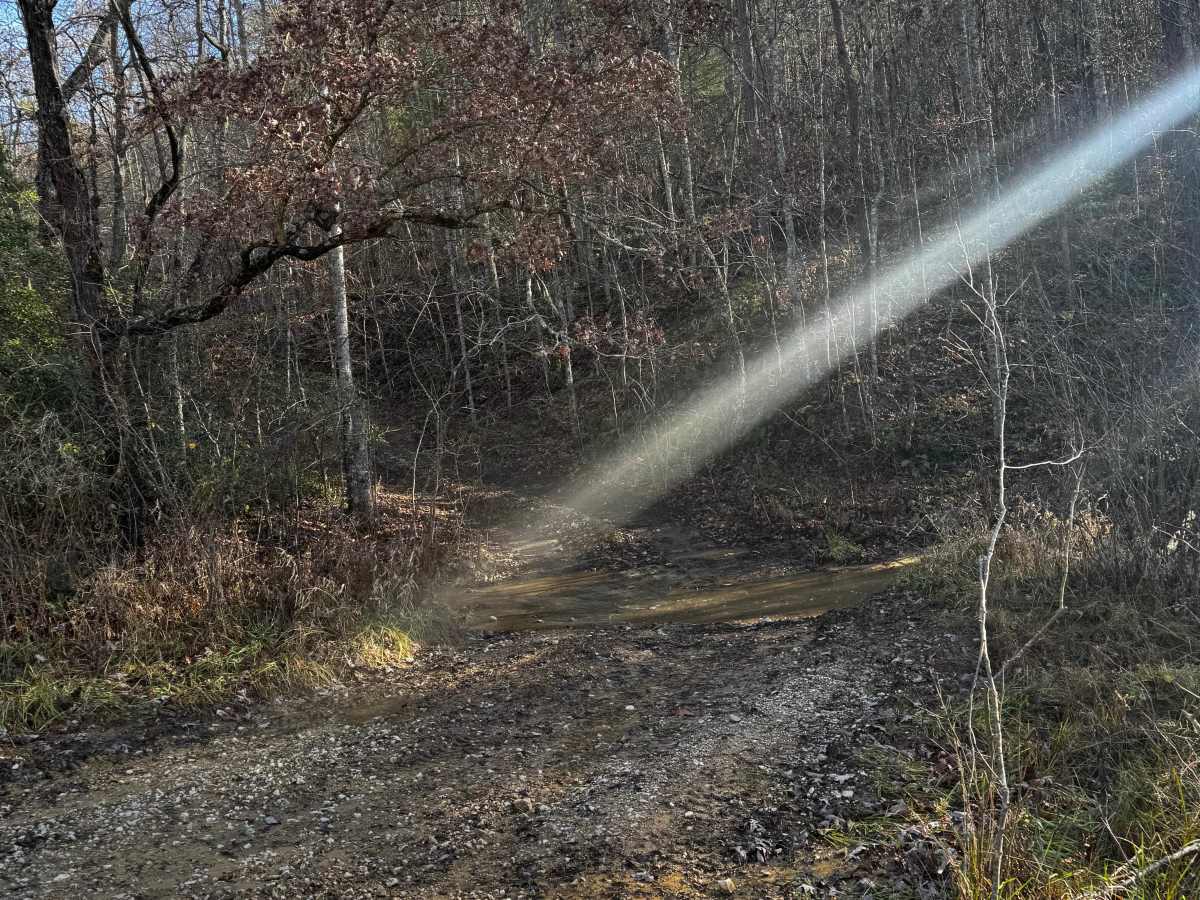 Boneyard Trail 1 - Holiday Hill Gatekeeper photo 4