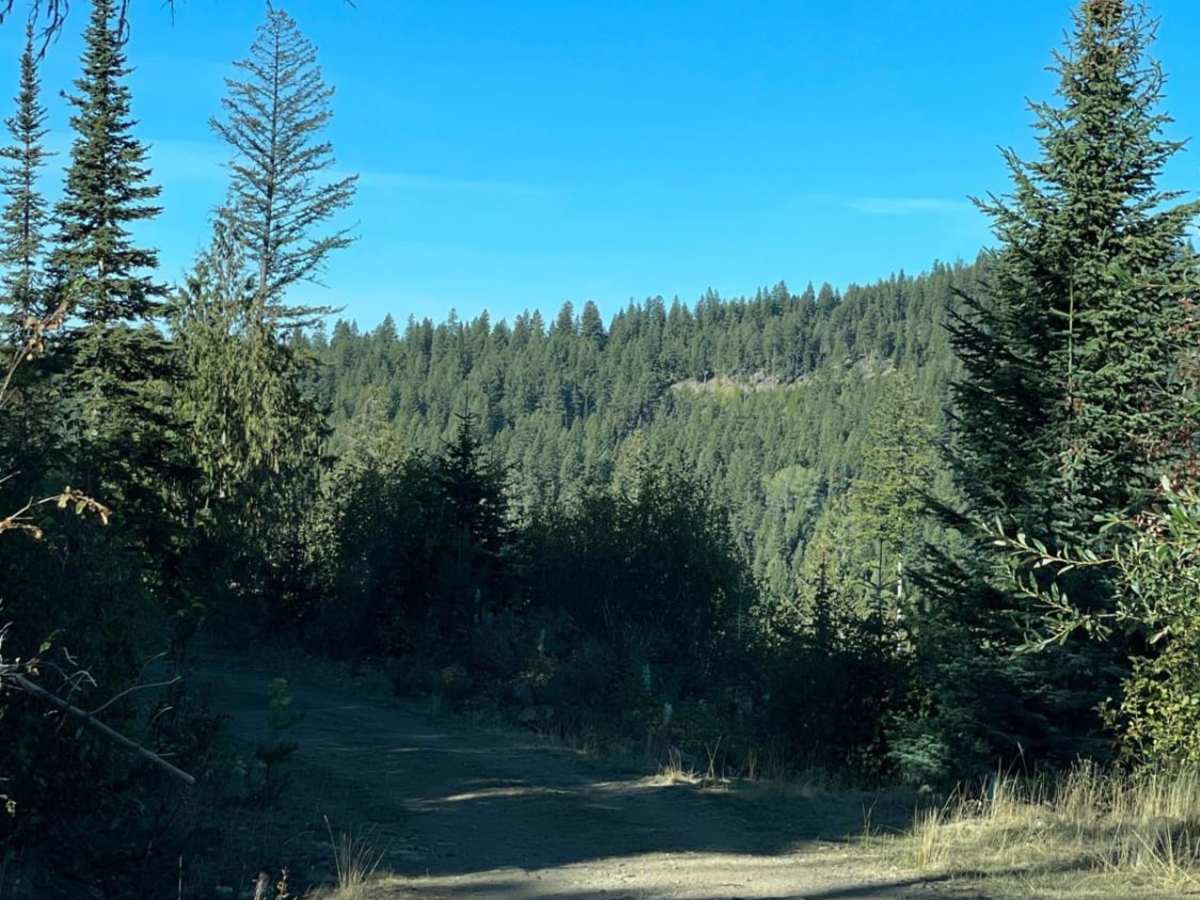 Damer Lake East photo 2