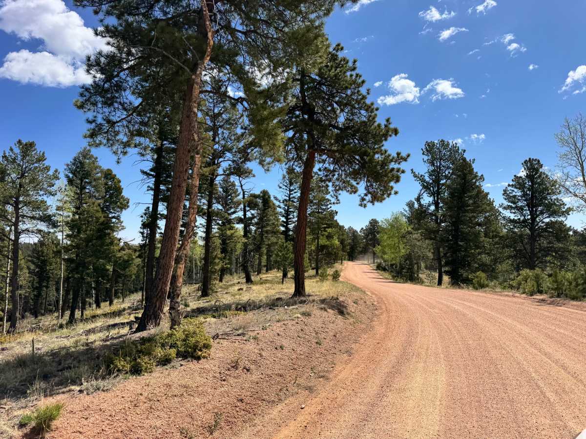 Farish Rd 309 trail photo