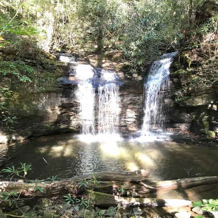 Near Moonshine and Confusion Falls Trail